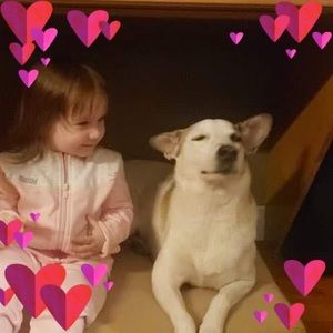 Meet your Posher, Janice